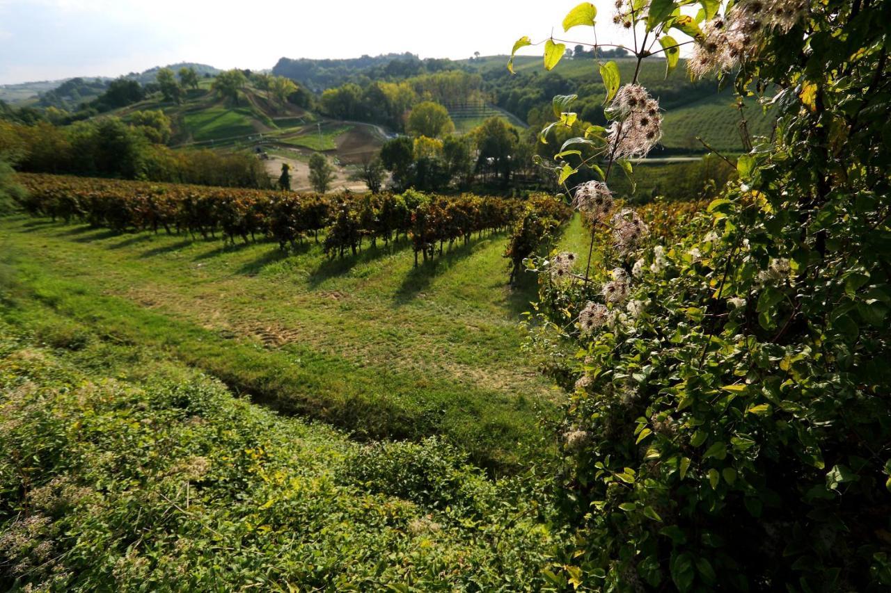 Agriturismo Trere Guest House Faenza Exterior photo